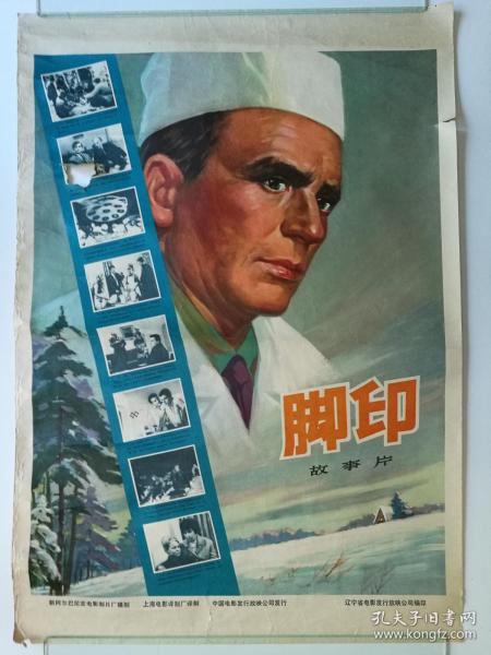 東京海洋大学 Certificate